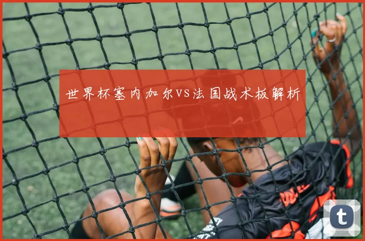 世界杯塞内加尔vs法国战术板解析