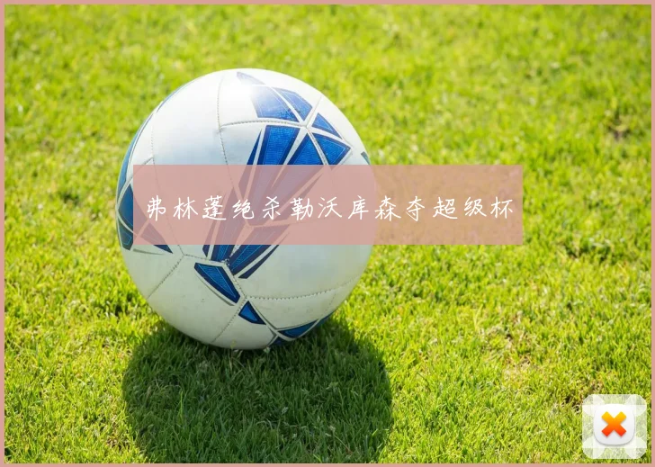 弗林蓬绝杀勒沃库森夺超级杯