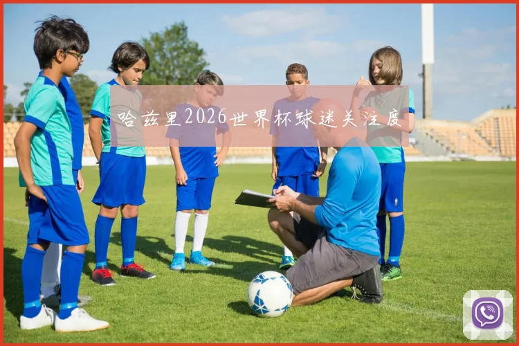 哈兹里2026世界杯球迷关注度