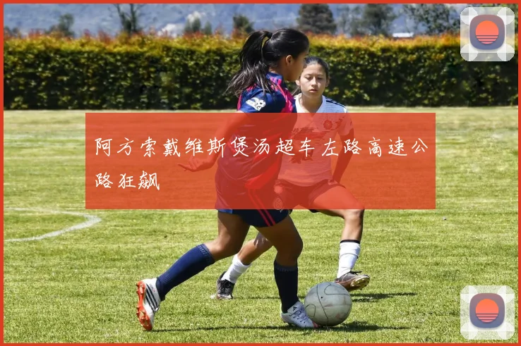 阿方索戴维斯煲汤超车左路高速公路狂飙