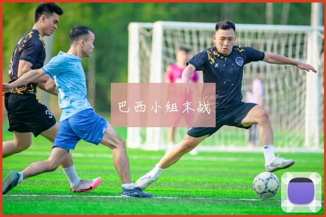 巴西小组末战