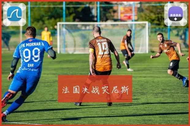 法国决战突尼斯