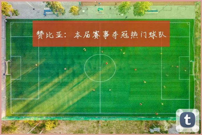 赞比亚:本届赛事夺冠热门球队