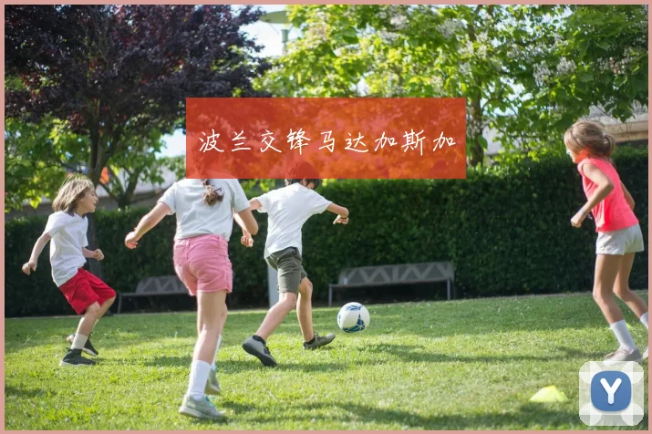 波兰交锋马达加斯加