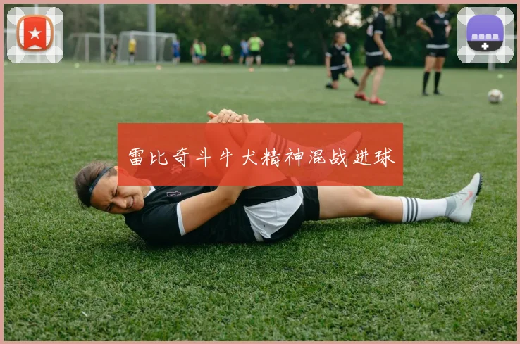 雷比奇斗牛犬精神混战进球