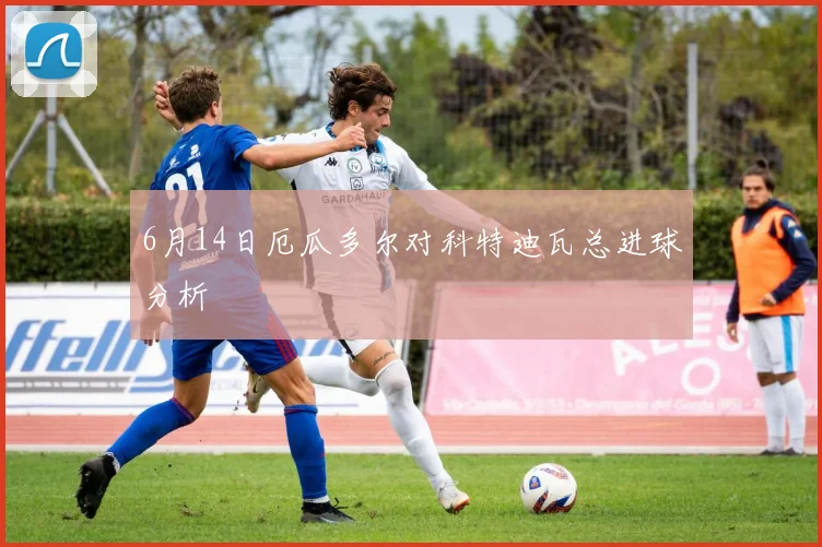 6月14日厄瓜多尔对科特迪瓦总进球分析