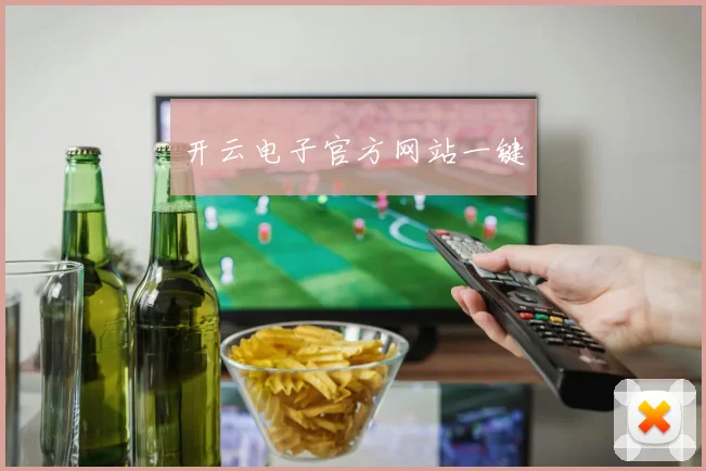 开云电子官方网站一键