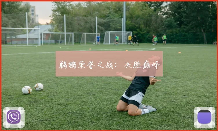 鹈鹕荣誉之战:决胜巅峰