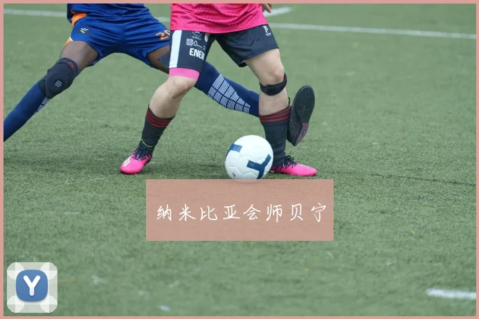 纳米比亚会师贝宁