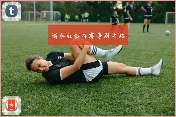 浦和红钻杯赛争冠之路