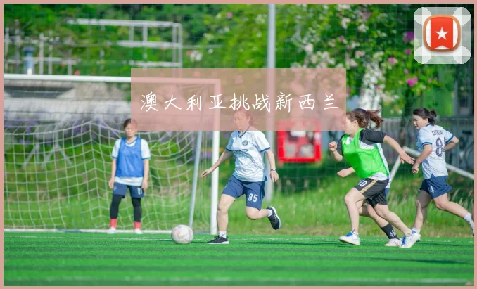 澳大利亚挑战新西兰