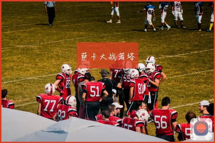 萨卡大战若塔