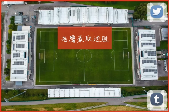 老鹰豪取连胜