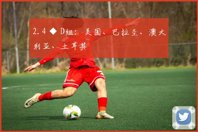 2.4 ◆ D组：美国、巴拉圭、澳大利亚、土耳其