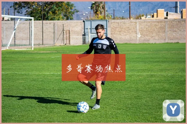 多哥赛场焦点