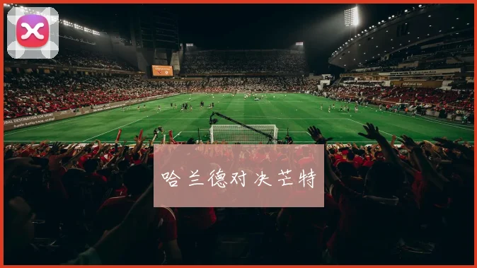 哈兰德对决芒特