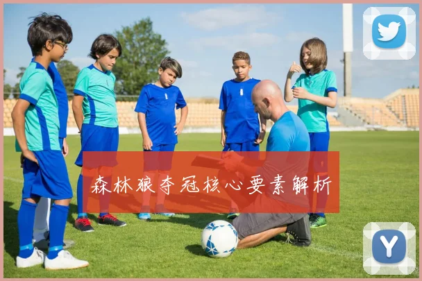 森林狼夺冠核心要素解析