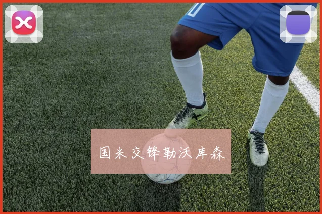 国米交锋勒沃库森