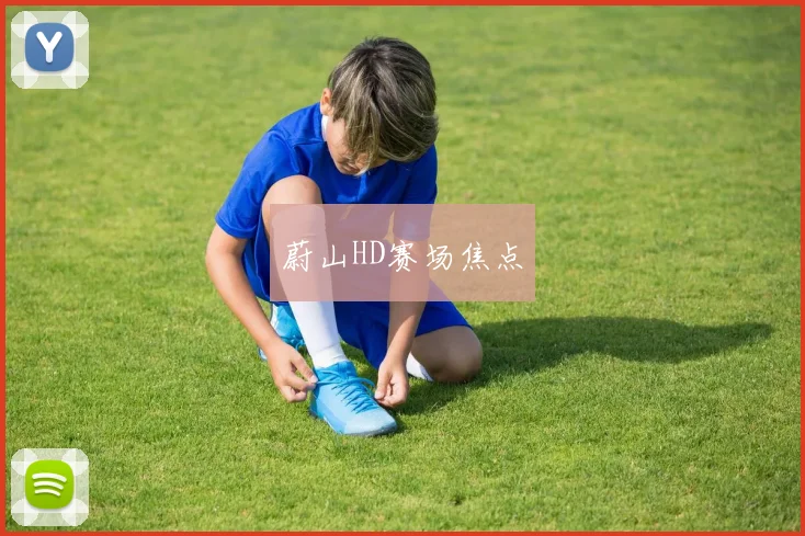 蔚山HD赛场焦点