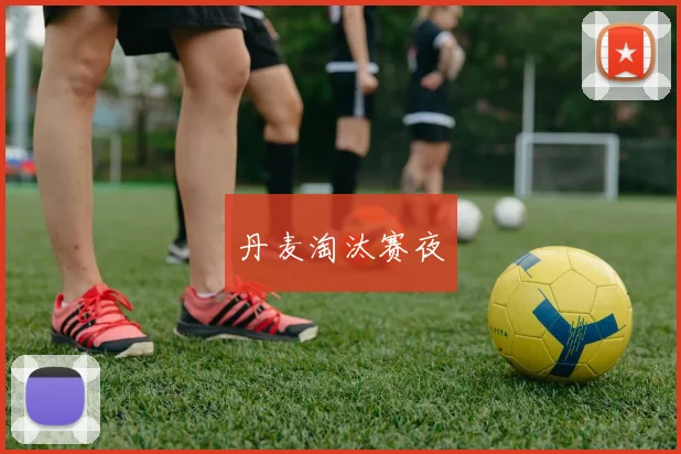 丹麦淘汰赛夜