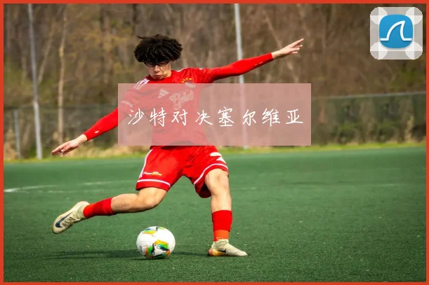沙特对决塞尔维亚