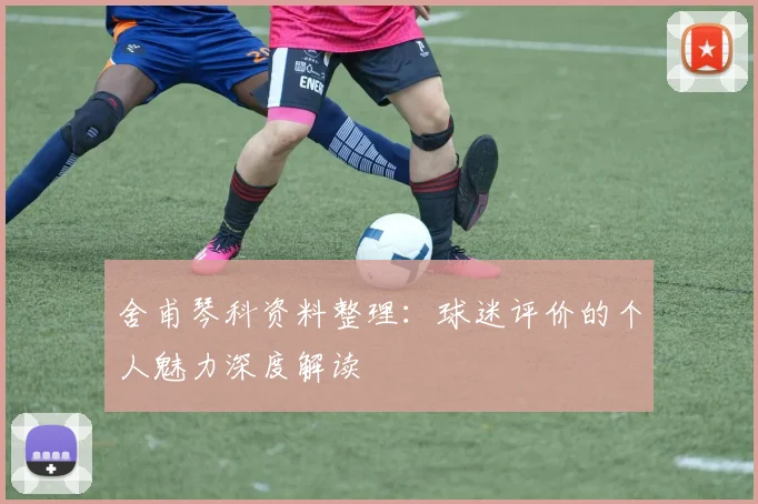舍甫琴科资料整理：球迷评价的个人魅力深度解读