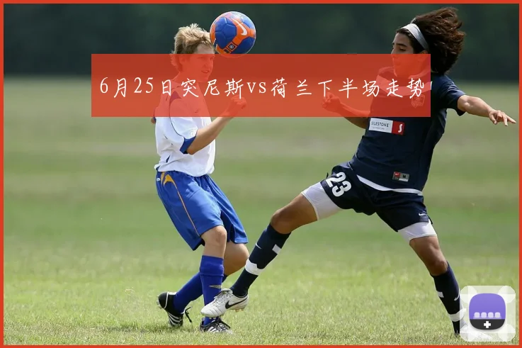 6月25日突尼斯vs荷兰下半场走势