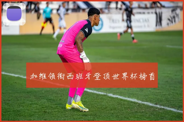 加维领衔西班牙登顶世界杯榜首