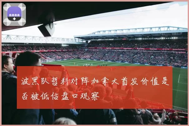波黑队哲科对阵加拿大首发价值是否被低估盘口观察