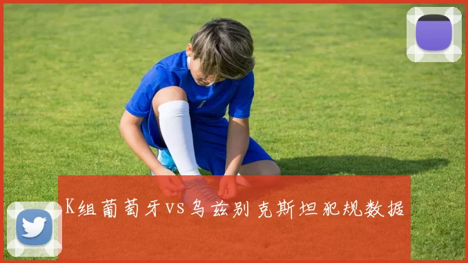 K组葡萄牙vs乌兹别克斯坦犯规数据