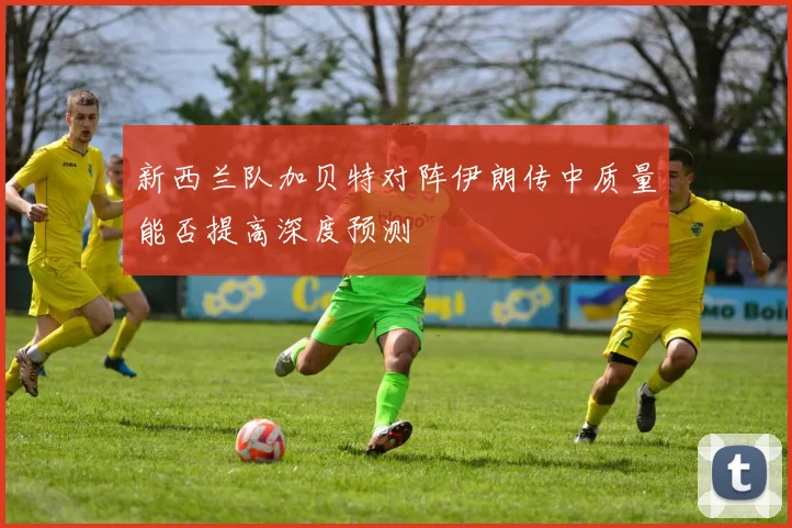 新西兰队加贝特对阵伊朗传中质量能否提高深度预测